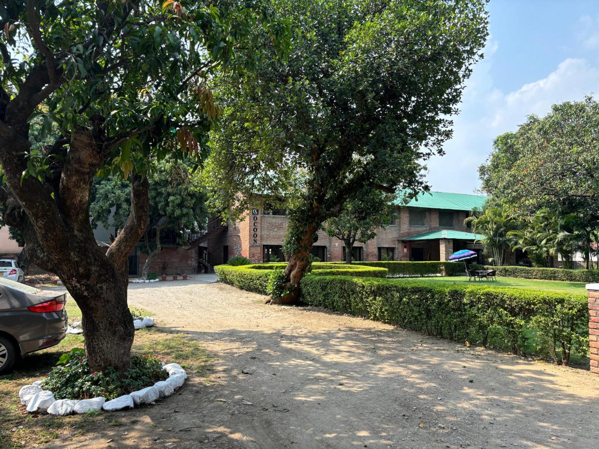 The Cocoon Bed and Breakfast Ντεχραντούν Εξωτερικό φωτογραφία